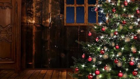 Как относится к Рождеству по воле Божьей?