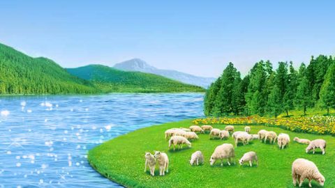 Агнец Божий